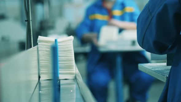 Paper Factory Worker Placing White Tissues Onto the Conveyor Belt at a Paper Mill alt