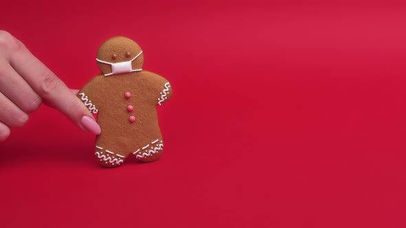 Covid-19 Pandemic Quarantine Safety Gingerbread alt