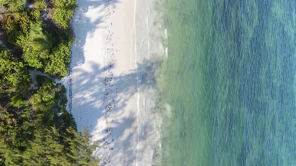 Zanzibar Tanzania  Vertical Video Empty Beach Slow Motion alt