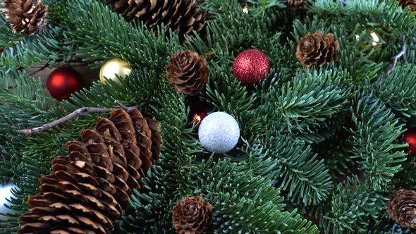Abies nobilis branch with cones and Christmas balls alt