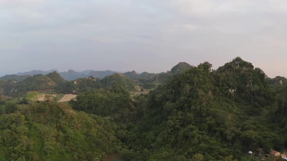 Aerial Forest View alt