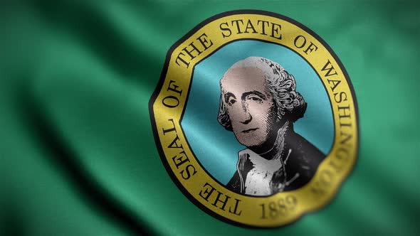 Washington State Flag Angle