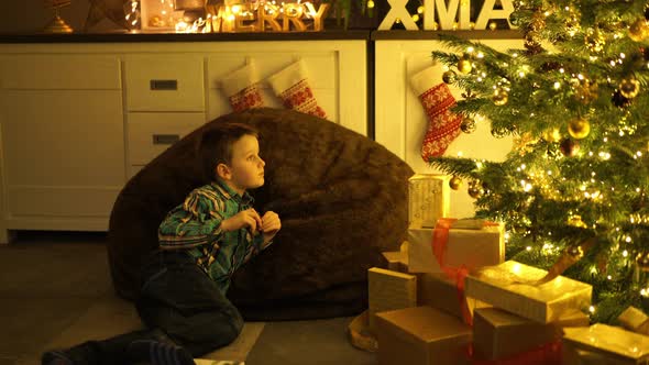 One Boy at Lighted Christmas Tree in Living Room