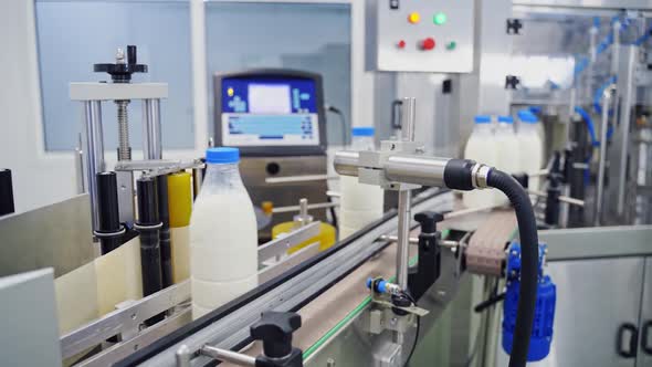 Сonveyor with milk bottles. Blue covers on plastic bottles with milk inside at factory alt