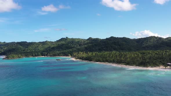 4k 30fps A Sunny Day In The Caribbean Beach With Palmstree And The Waves 7 alt