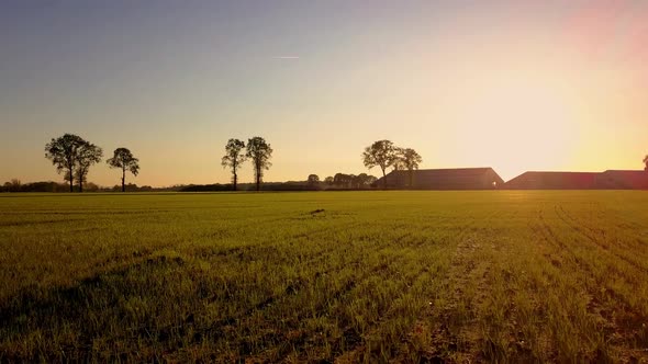 Aerial Cinematic Clip Drone Flying Over a Farm Field During Sunset alt