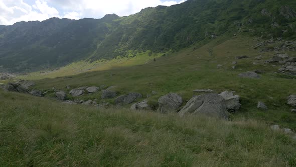 Valley in Fagras Mountains, Romania alt
