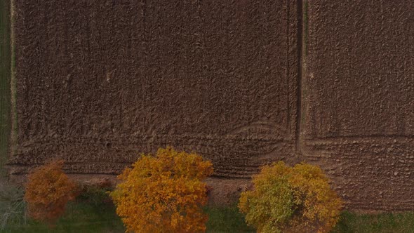 Top down aerial view of plowed farm field and fall colored trees alt