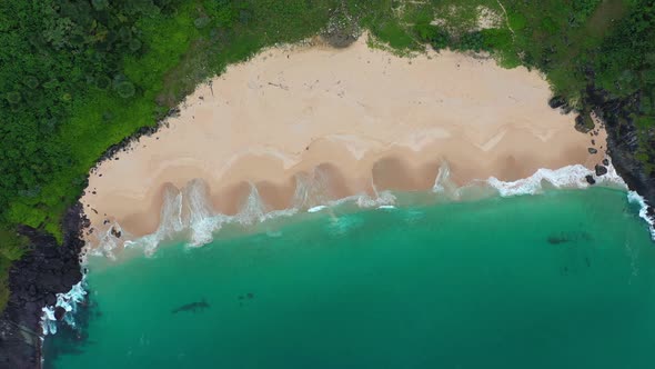 AH - Indonesian Tropical Paradise 05 alt