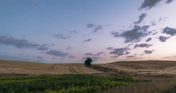 Pastel Sunset Behind Hedgerow In Farmland Time Lapse