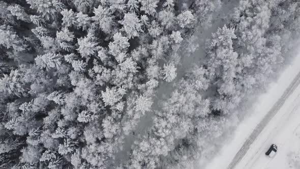 Aerial Top View From Drone Birds Eye View of Winter Landscape and Snowy Ice Road Car Moving on Area