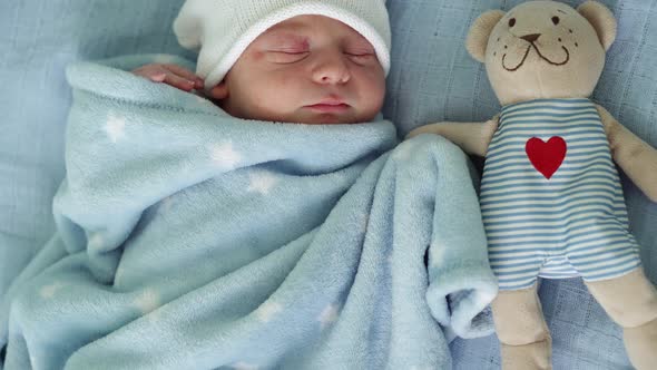 Closeup of Newborn Baby Face Portrait Early Days Sleeping With Tady Bear On Blue Background alt
