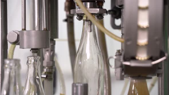Bottling Lemonade in Glass Bottles at the Factory. Conveyor Belt with Glass Bottles. Conveyor Close alt