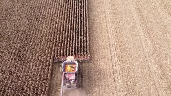 Drone Shot Of Combine Harvester Working In A Corn Field In Southeast Michigan alt
