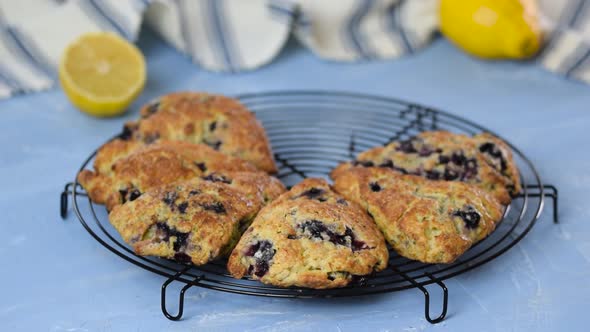 Pastry Scones with Blueberry and Lemon Zest.
