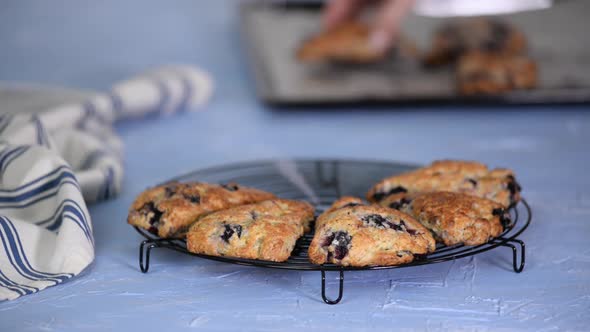 Fresh Homemade Blueberry Breakfast Scones.