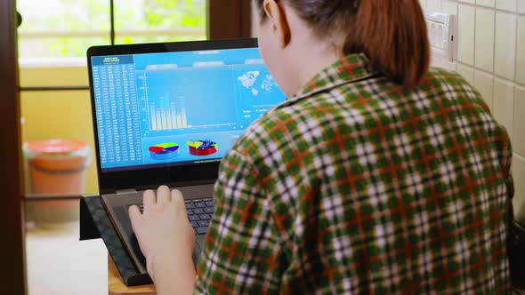 Back View of Business Woman Checking Financial Graph alt