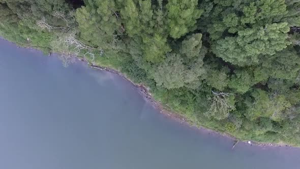 Bali aerial forest slowly reveal over lake