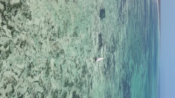 Zanzibar Tanzania  Vertical Video of Low Tide in the Ocean Near the Coast Slow Motion alt