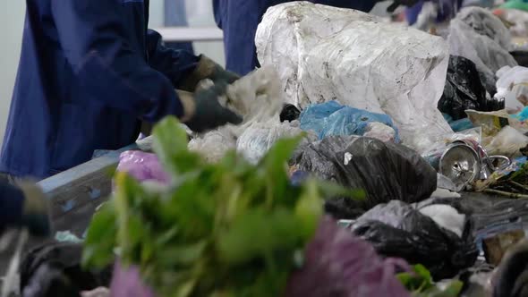 Workers at Conveyor Sorting Garbage at a Recycling Plant alt