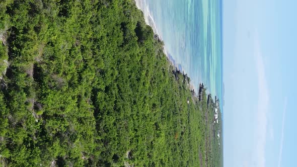 Zanzibar Tanzania  Ocean Shore Covered with Green Thickets Vertical Video Aerial View alt