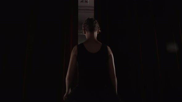 Beautiful Prima Ballerina Entering Dark Stage Determination Innocence Smoke Silhouette Slow Motion alt