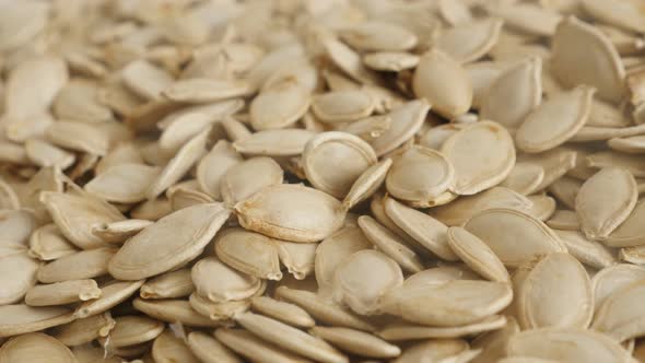 Raw seed of pumpkin close-up  slow pan 4K footage alt