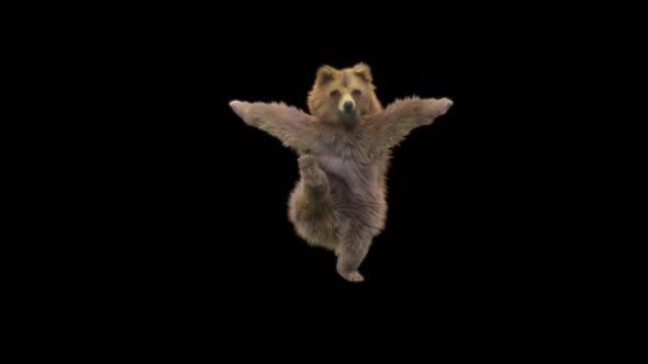 128 Bear Dancing HD alt