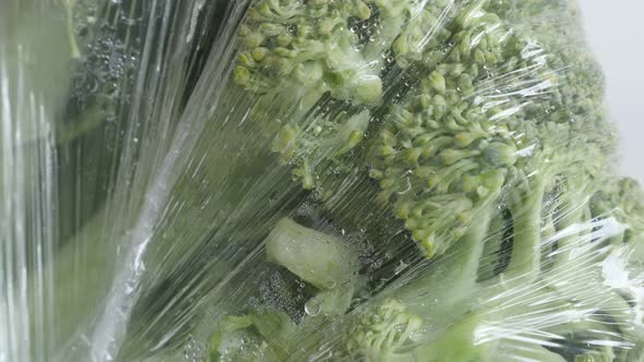 Packed edible green broccoli close-up 4K 2160p 30fps UltraHD tilting footage - Fresh Brassica olerac alt