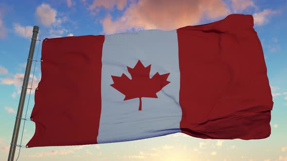 The National Flag of Canada Also Known As The Maple Leaf Fluttering in the Wind alt