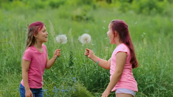 Two little girls blow on large dandelion flowers while playing in a clearing on a summer day
