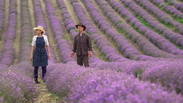 Lavender Farm Business and Industry alt