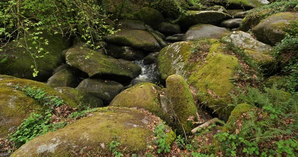 The Toul Goulic gorge, Cotes d Armor department, Brittany in France alt