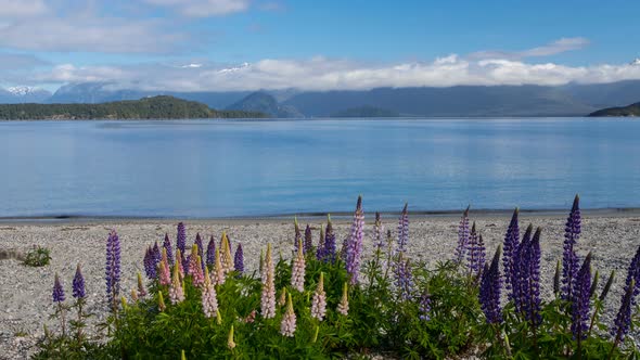 Lake Manapouri in New Zealand alt