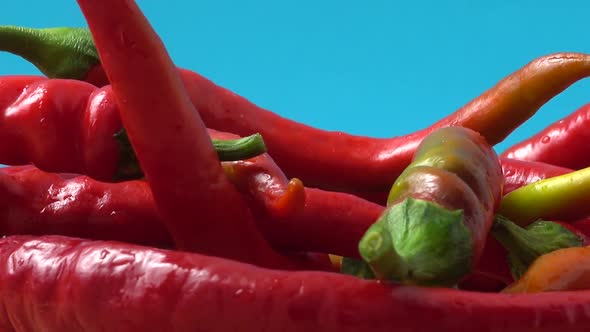 Red Chili Pepper alt