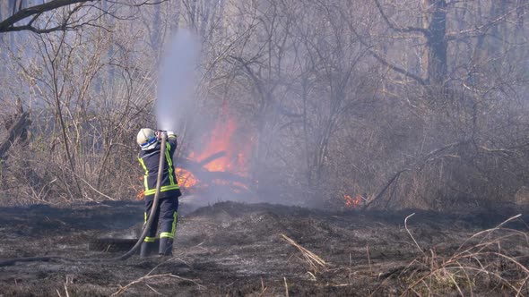 Firefighter in Equipment Extinguish Forest Fire with Fire Hose. Wood, Spring Day alt