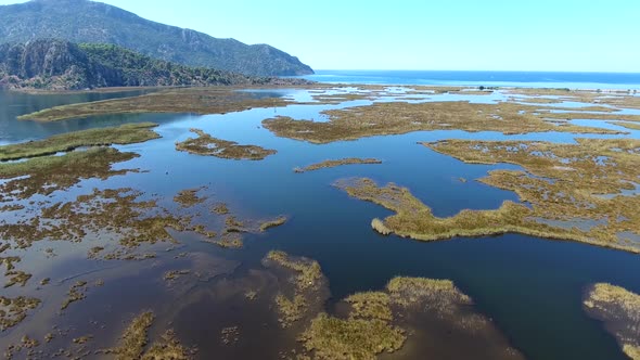 Aerial Swamp Wetland and Lake Next to Reed Delta by Sea alt