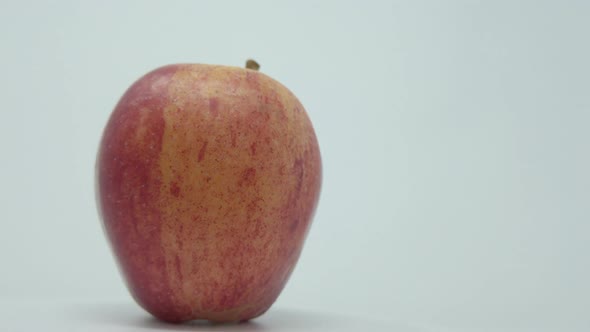 Gala Apple. One apple that’s  rotations. alt