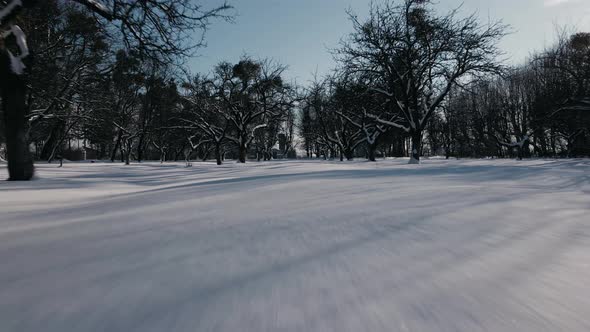 Drone Flight Forward Inside of the Snow Covered Garden Close to Ground and Trees