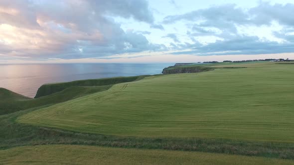 Aerial view of green fields on the North Sea coast alt