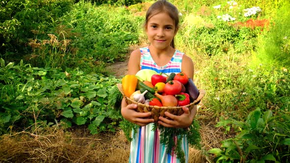A Child in the Garden with a Harvest of Vegetables alt