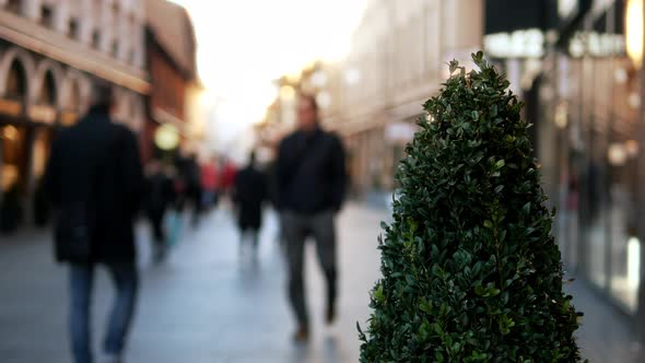 Shopping street and people in Helsingborg city, Sweden. Pedestrians walking by behind plant