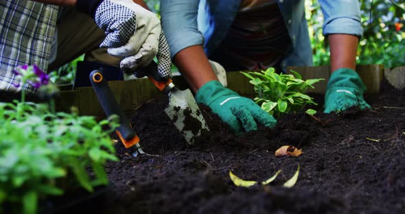 Senior couple planting plants alt