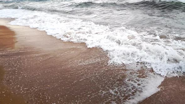 Foam Waves Roll Onto the Shore alt