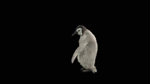 Penguin Dancing HD alt
