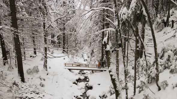 Man Walking Through The Forest