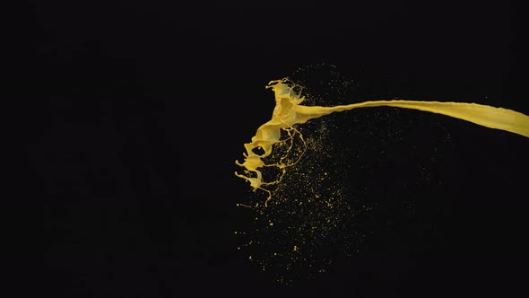 Paint splash in midair against black background. Slow Motion. Unedited version included. alt