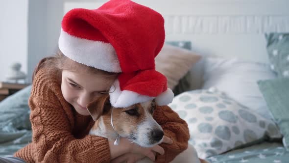 Little Happy Girl in a Knitted Winter Sweater Sits on a Made Bed with Her Little Dog Jack Russell in alt