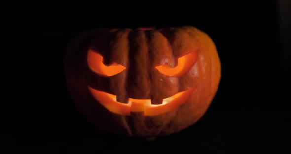 Halloween Pumpkin isolated on Dark Background