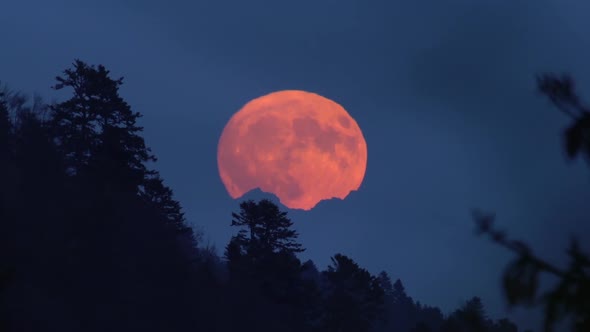 Full Hunter's Red Blood Moon Rise alt